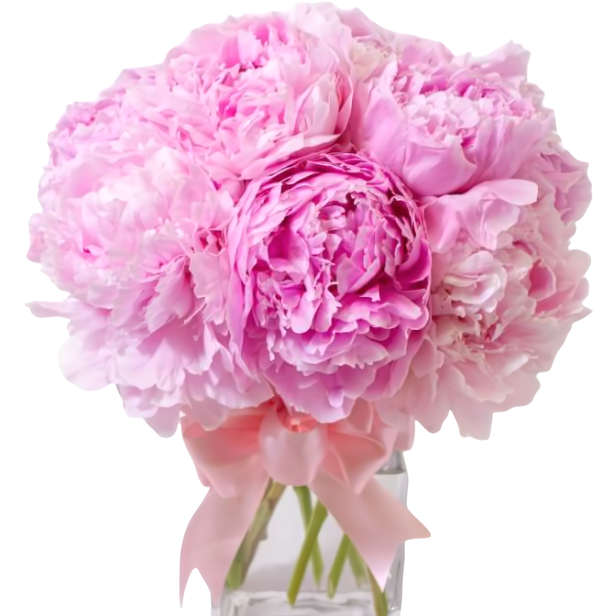Manhattan Flower Delivery - Pretty Pink Peony - Birthdays
