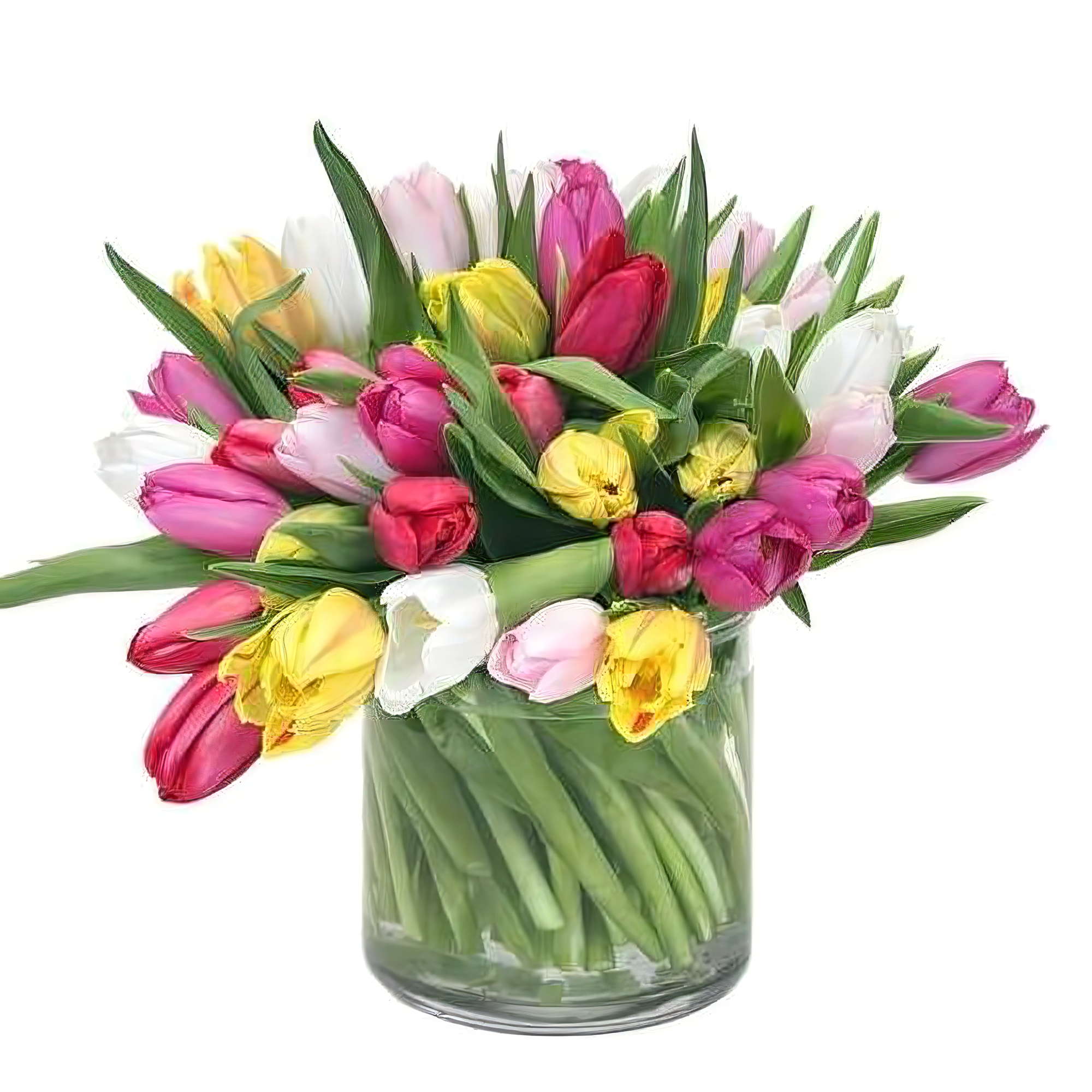Manhattan Flower Delivery - Wonderful Tulips - Birthdays