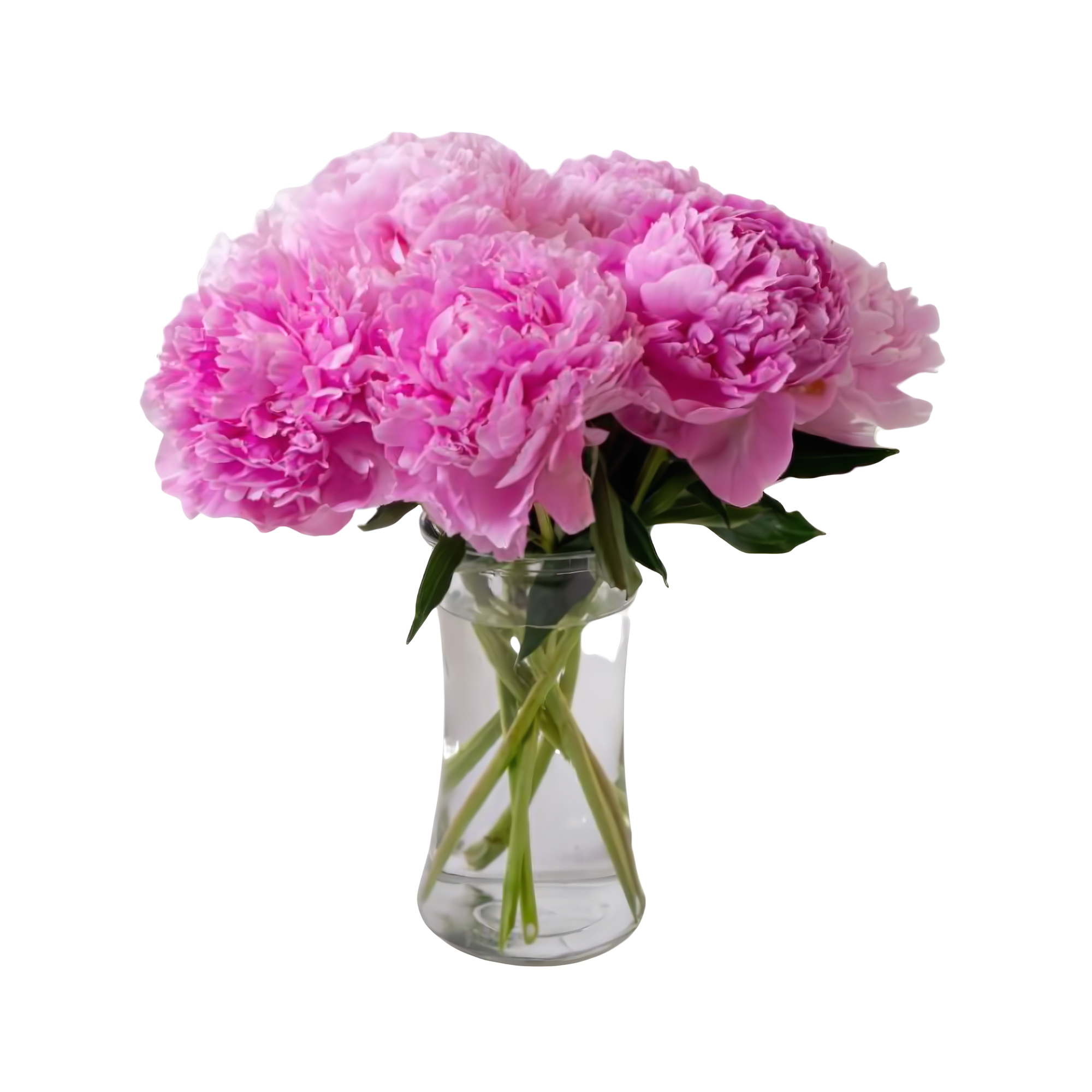 Manhattan Flower Delivery - Perfect Peony - Occasions > Anniversary