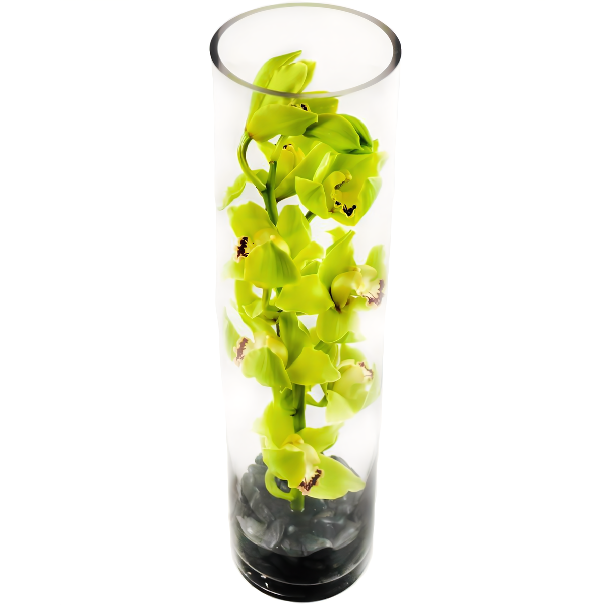 Manhattan Flower Delivery - Green Cymbidium Orchid Tower - Occasions &gt; Anniversary