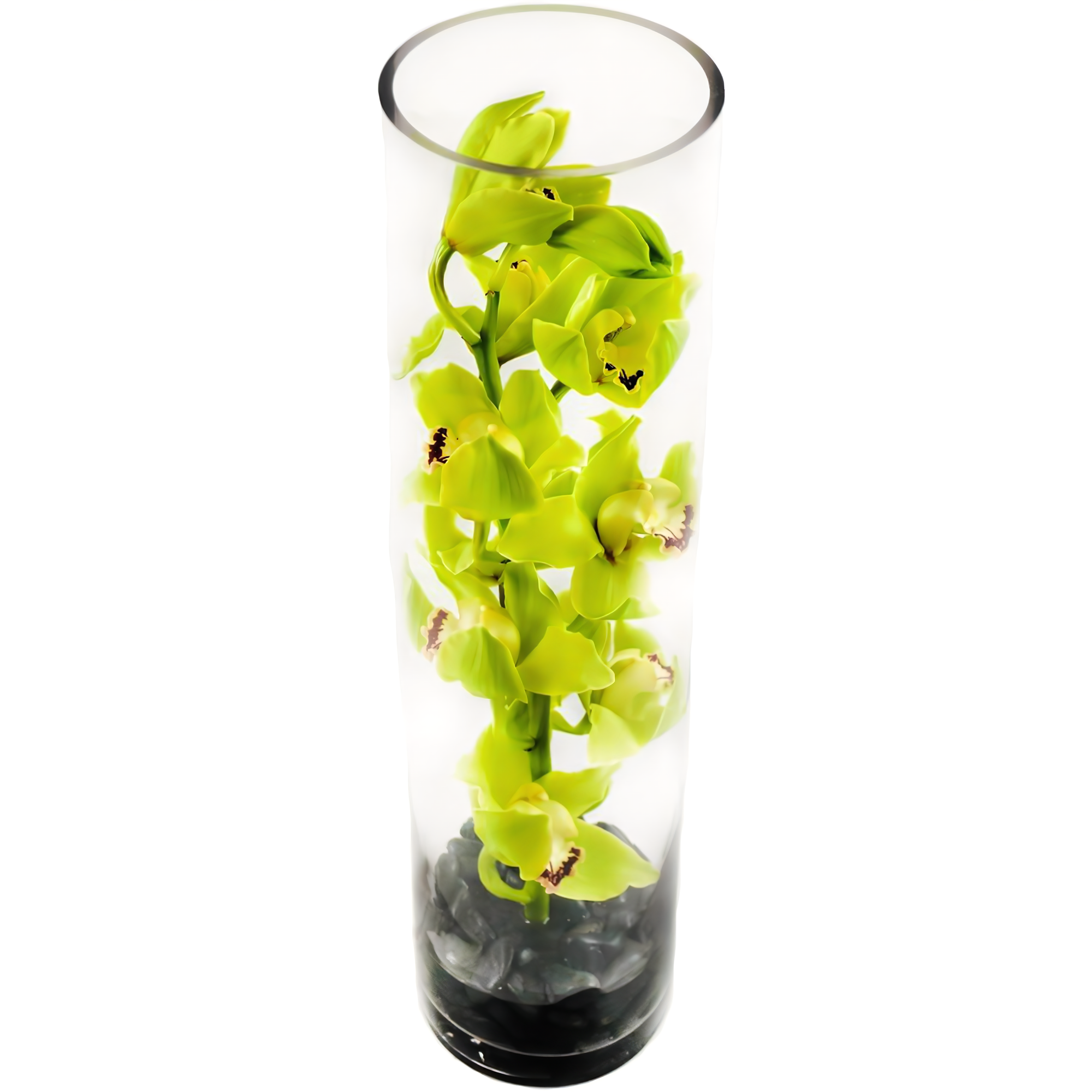 Manhattan Flower Delivery - Green Cymbidium Orchid Tower - Occasions > Anniversary