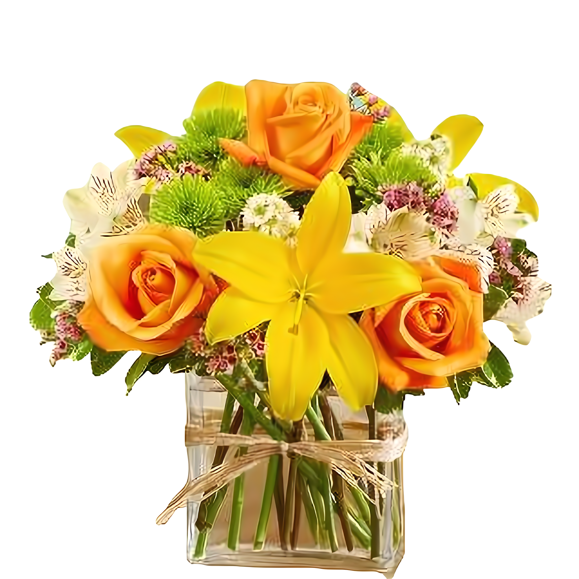 Manhattan Flower Delivery - Fields of the World in Rectangle - Products > Corporate Gifts