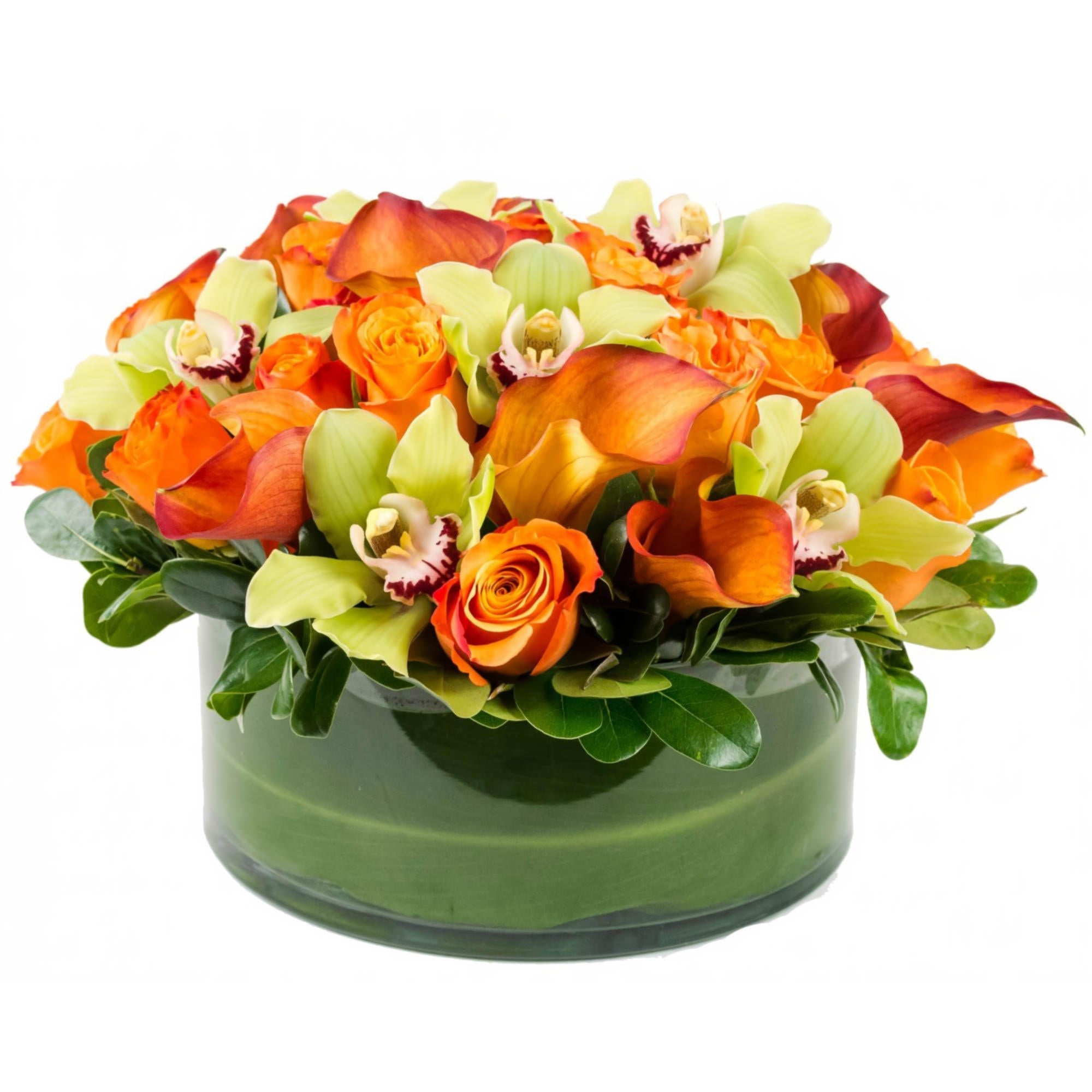 Orange You Special Floral Arrangement by Queens Flower Delivery features orange roses and green cymbidium orchids in a cylinder vase.