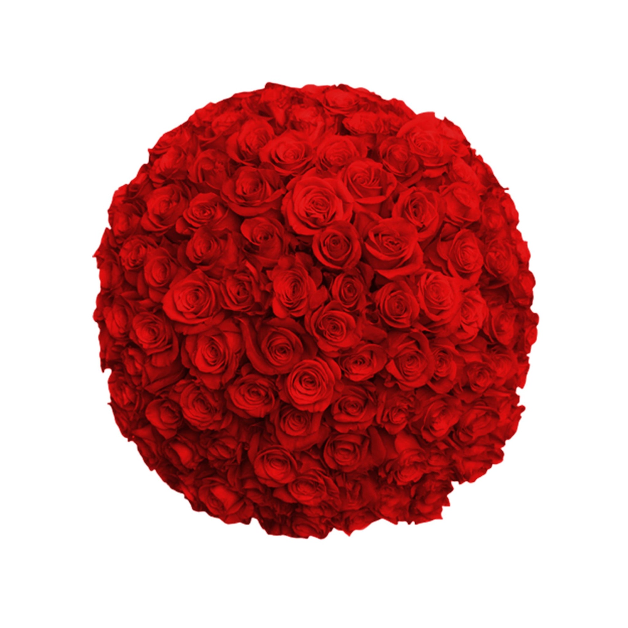 Manhattan Flower Delivery - Fresh Roses in a Vase | 100 Red Roses - Roses