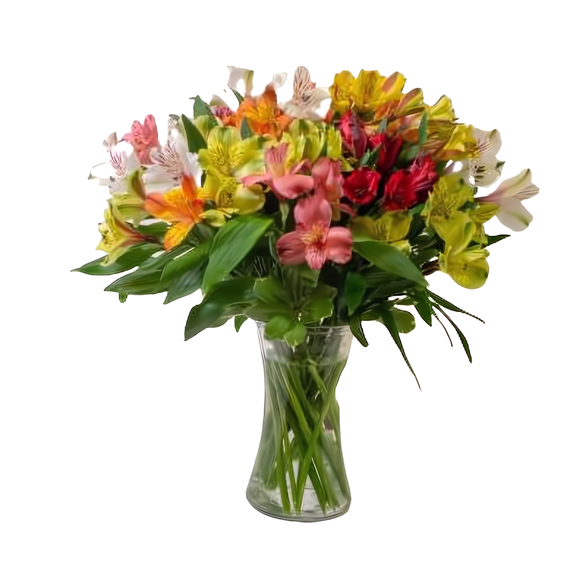 Queens Flower Delivery - Colorful Assorted Alstromeria