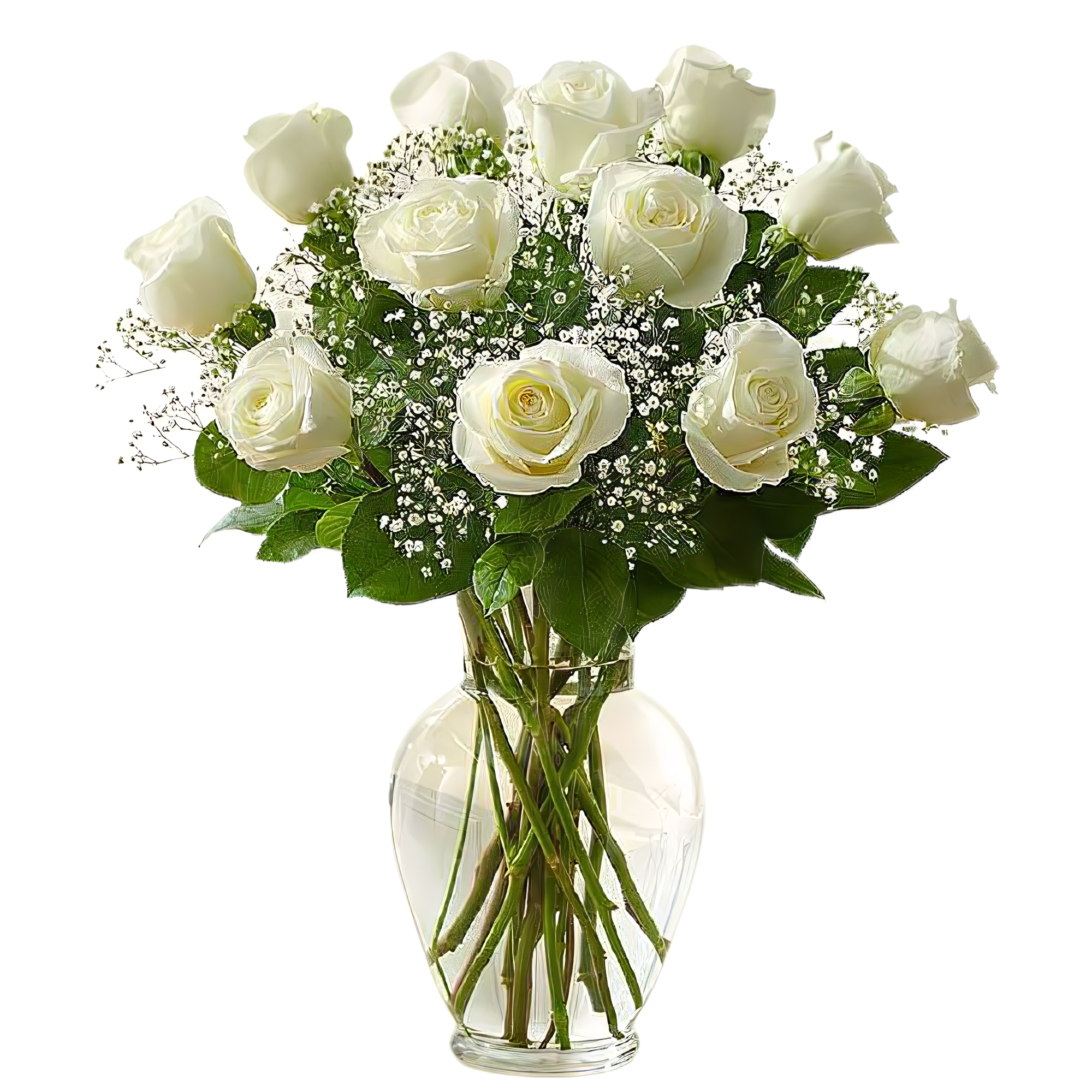 Manhattan Flower Delivery - Premium Long Stem White Rose - Holiday Collection