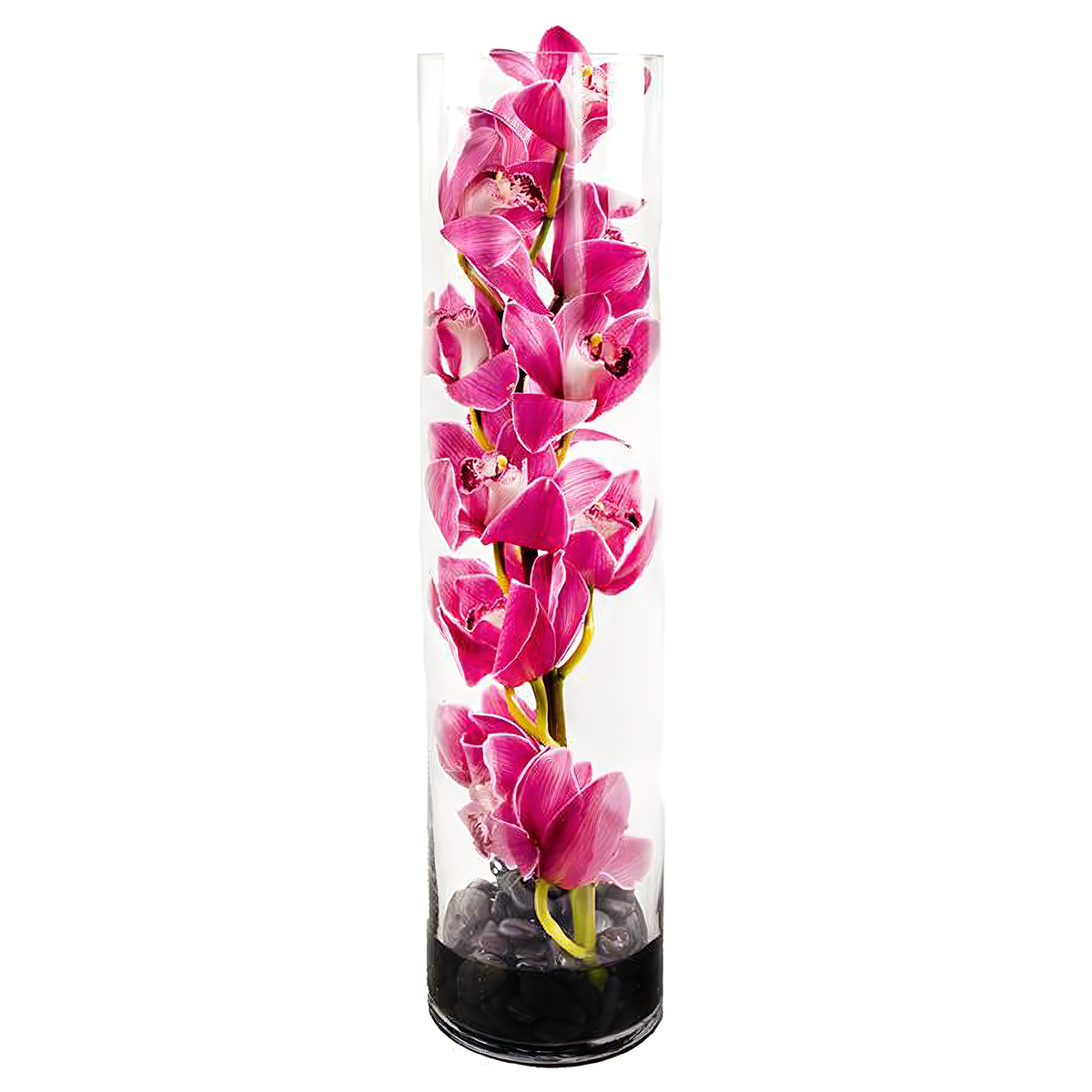 Queens Flower Delivery - Pink Cymbidium Orchid Tower
