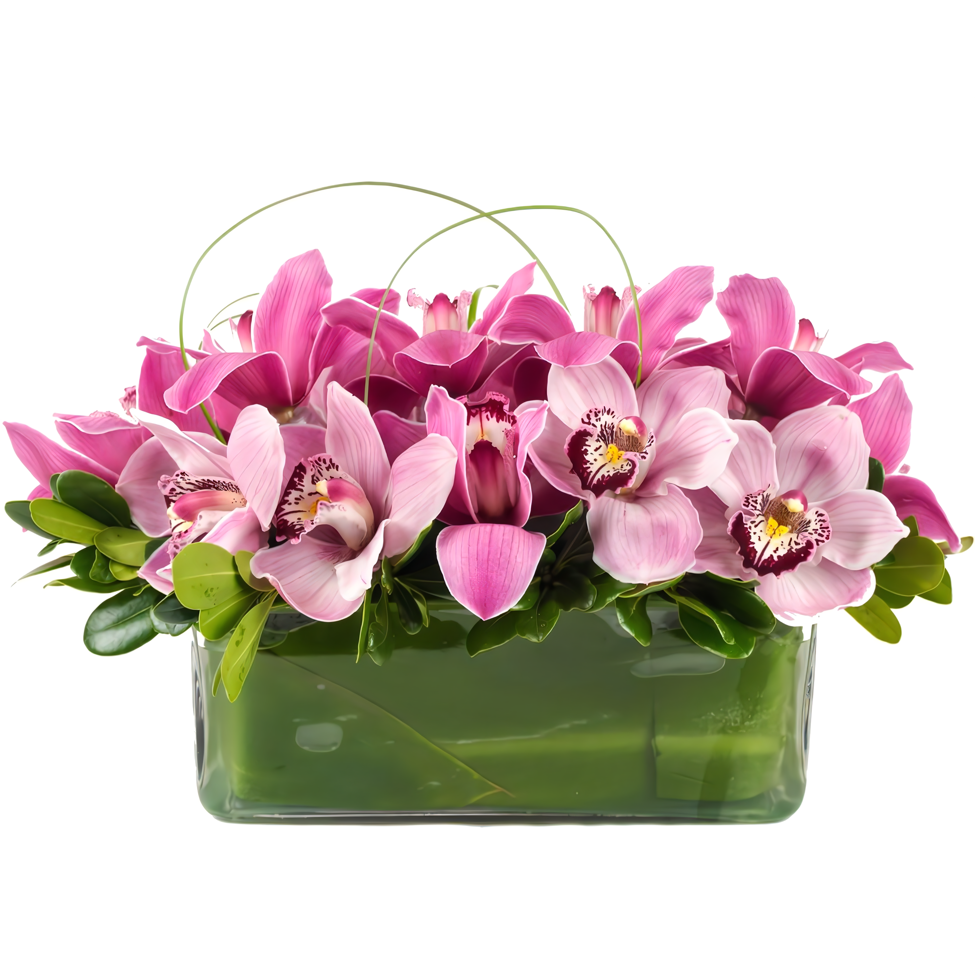 Manhattan Flower Delivery - Pink Me Up! - Occasions > Anniversary