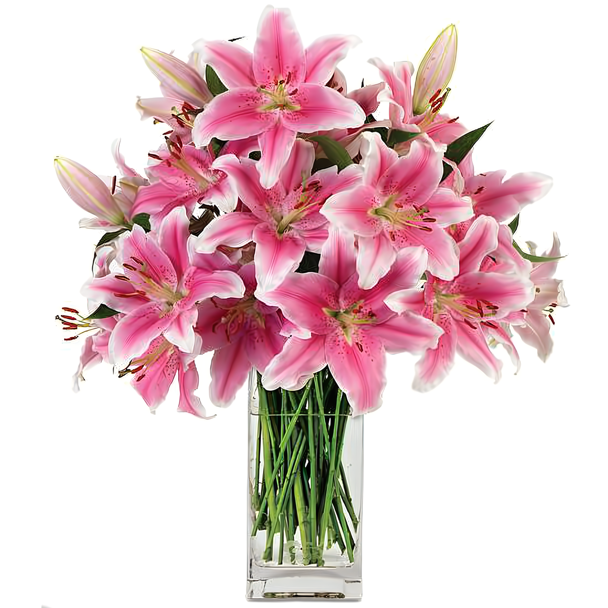 Manhattan Flower Delivery - Pink Stargazer Surprise - Occasions &gt; Anniversary
