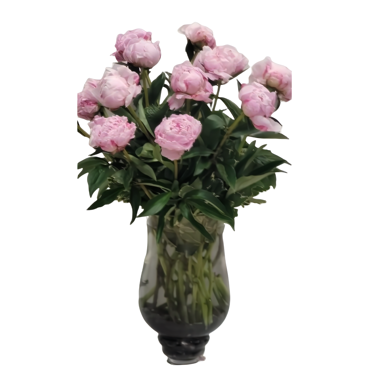 Manhattan Flower Delivery - Splendid Peony Elegance - Occasions &gt; Anniversary