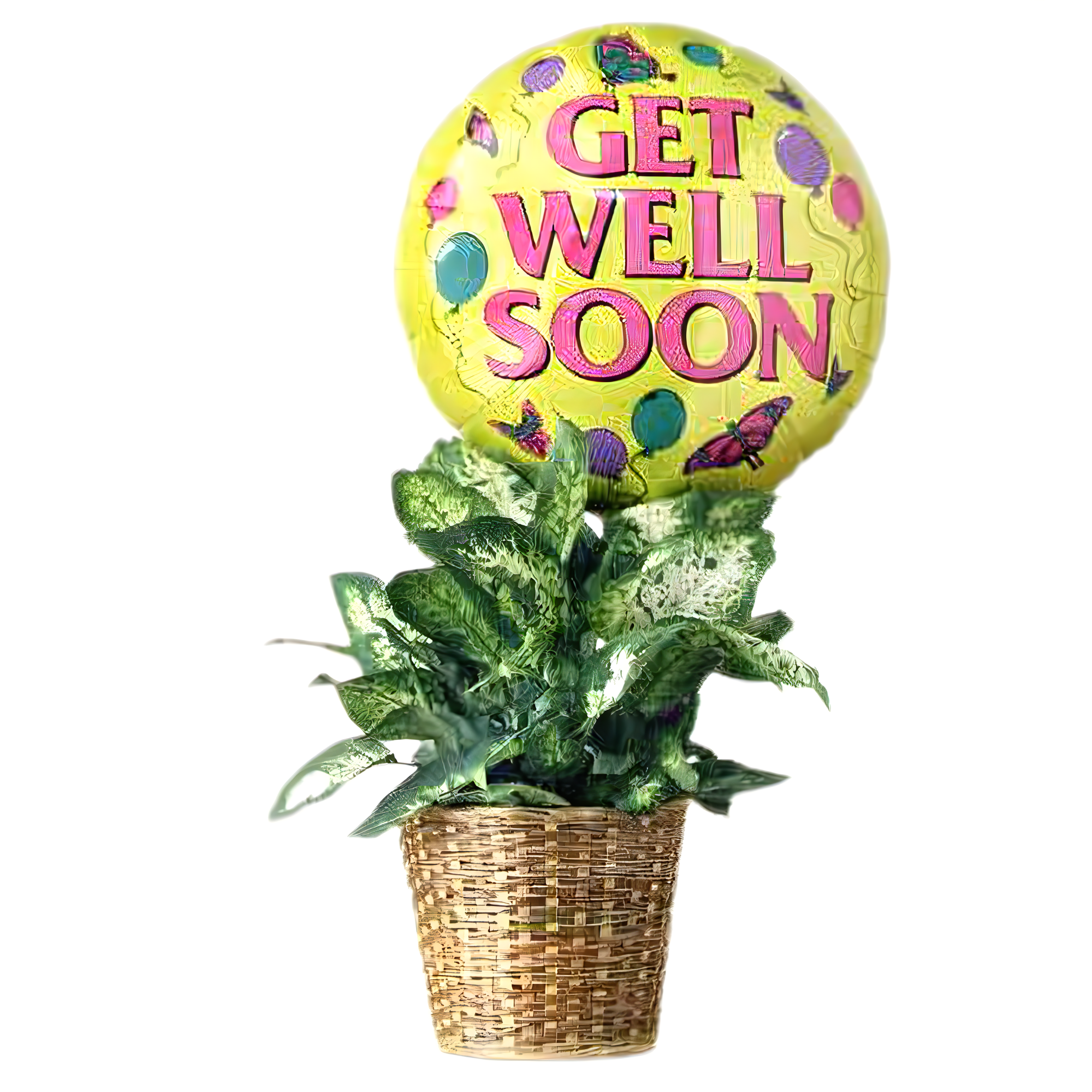 Manhattan Flower Delivery - Get Well Green Plant with Balloon - Occasions > Get Well