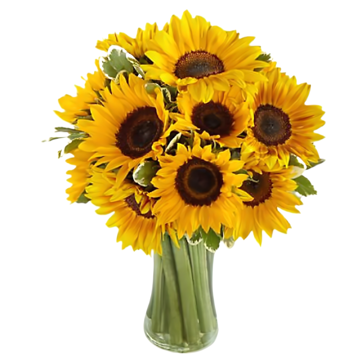 Manhattan Flower Delivery - Bright Sunflower Bouquet - Occasions &gt; Get Well