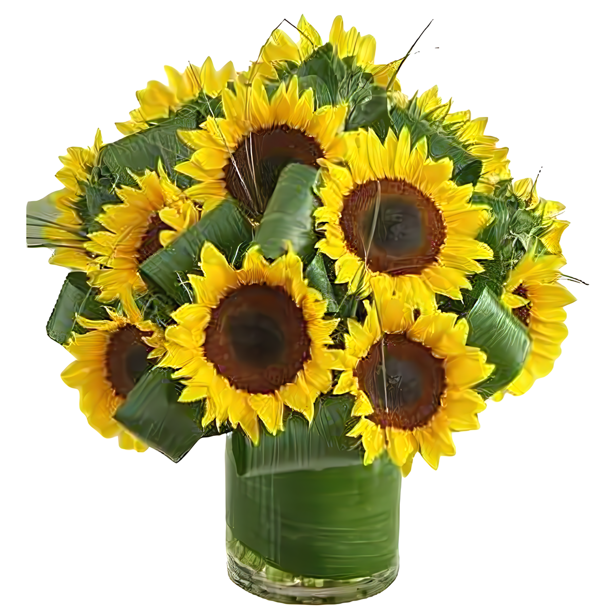 Manhattan Flower Delivery - Sun-Sational Sunflowers - Products &gt; Corporate Gifts