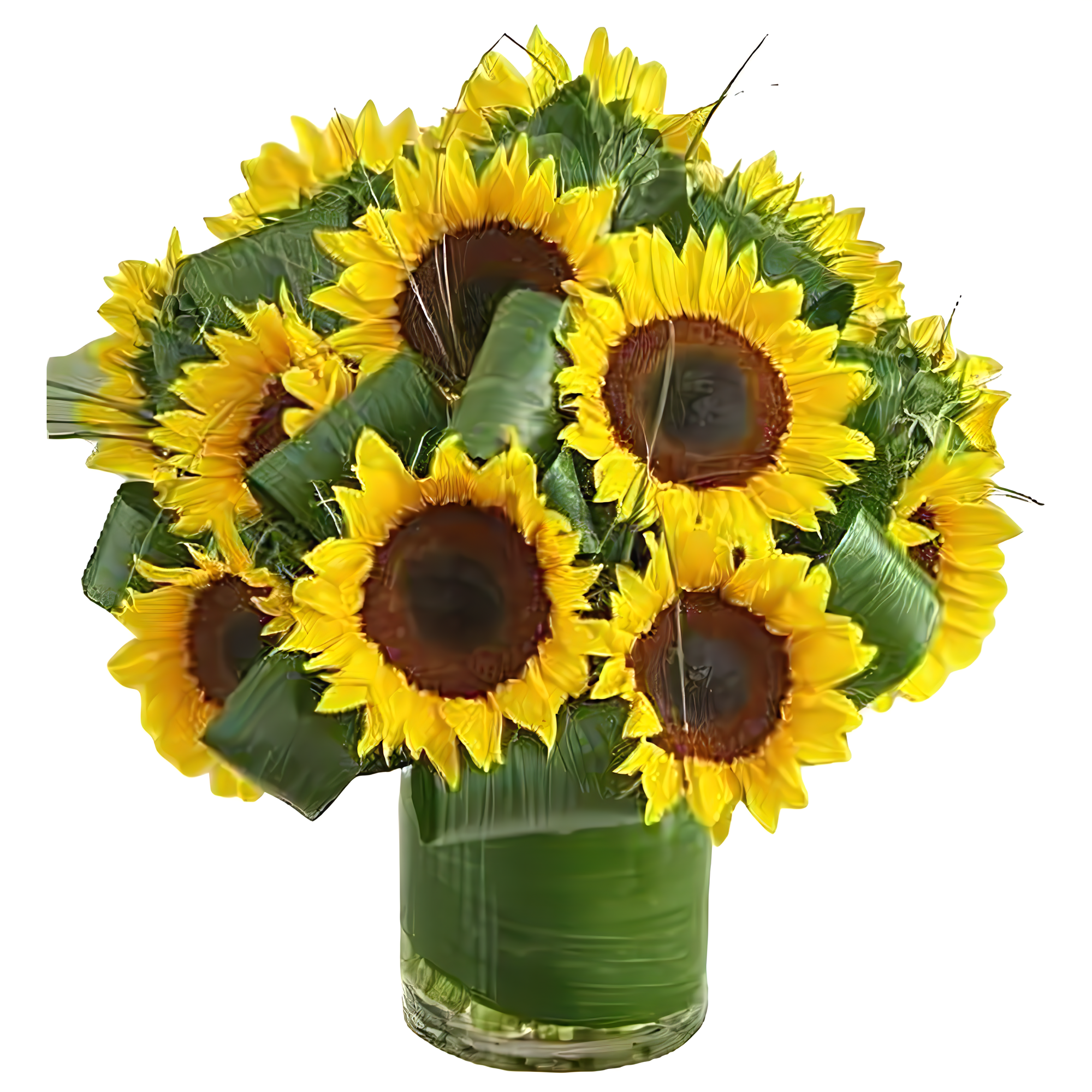 Manhattan Flower Delivery - Sun-Sational Sunflowers - Products > Corporate Gifts