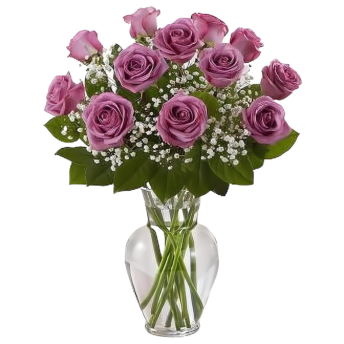 Manhattan Flower Delivery - Premium Long Stem Purple Roses - Roses