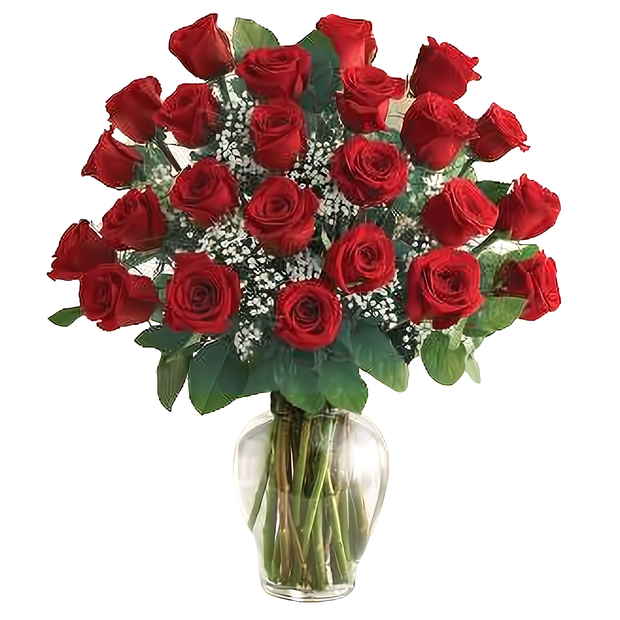 Manhattan Flower Delivery - Premium Long Stem 24 Red Roses - Roses