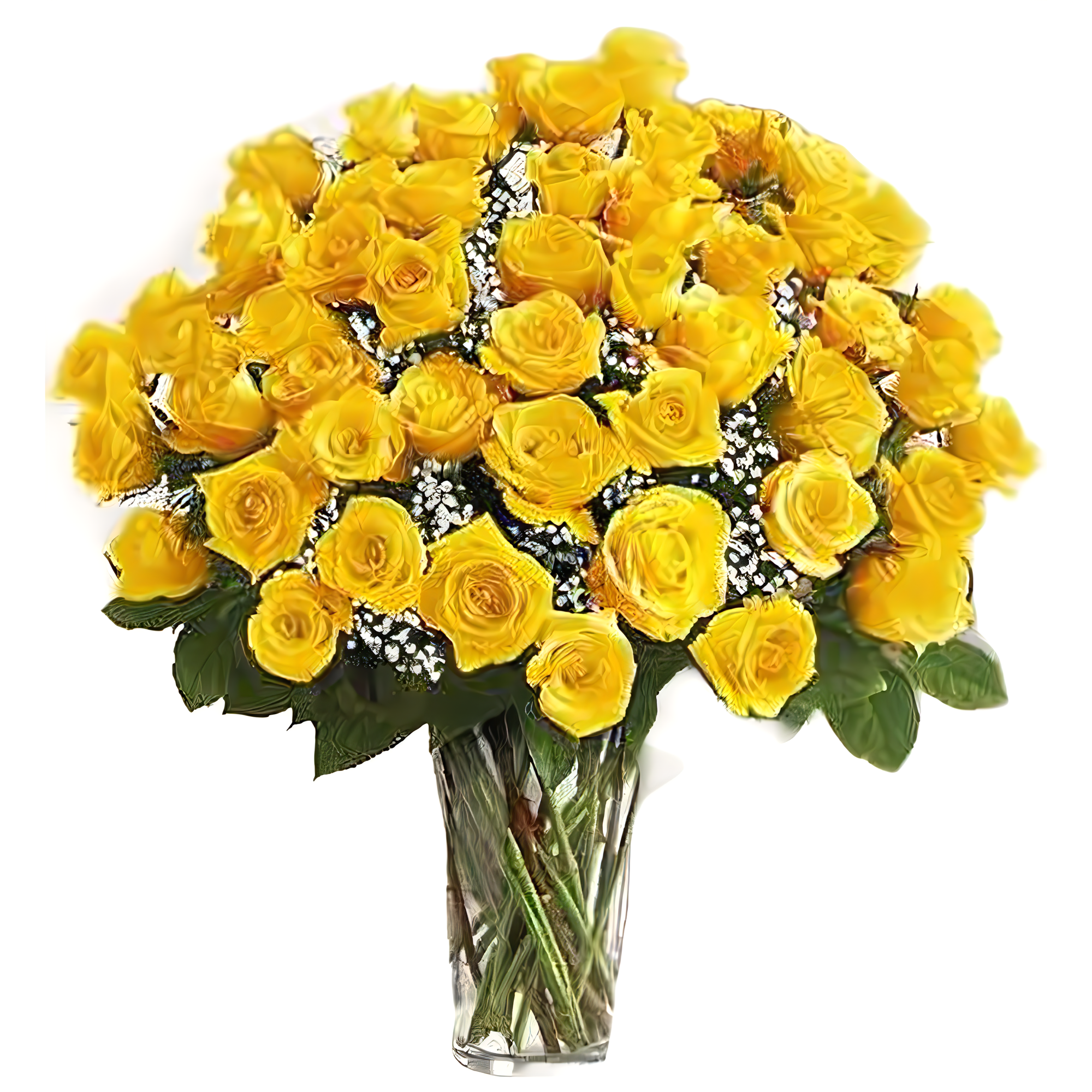 Manhattan Flower Delivery - Long Stem 48 Yellow Roses - Roses