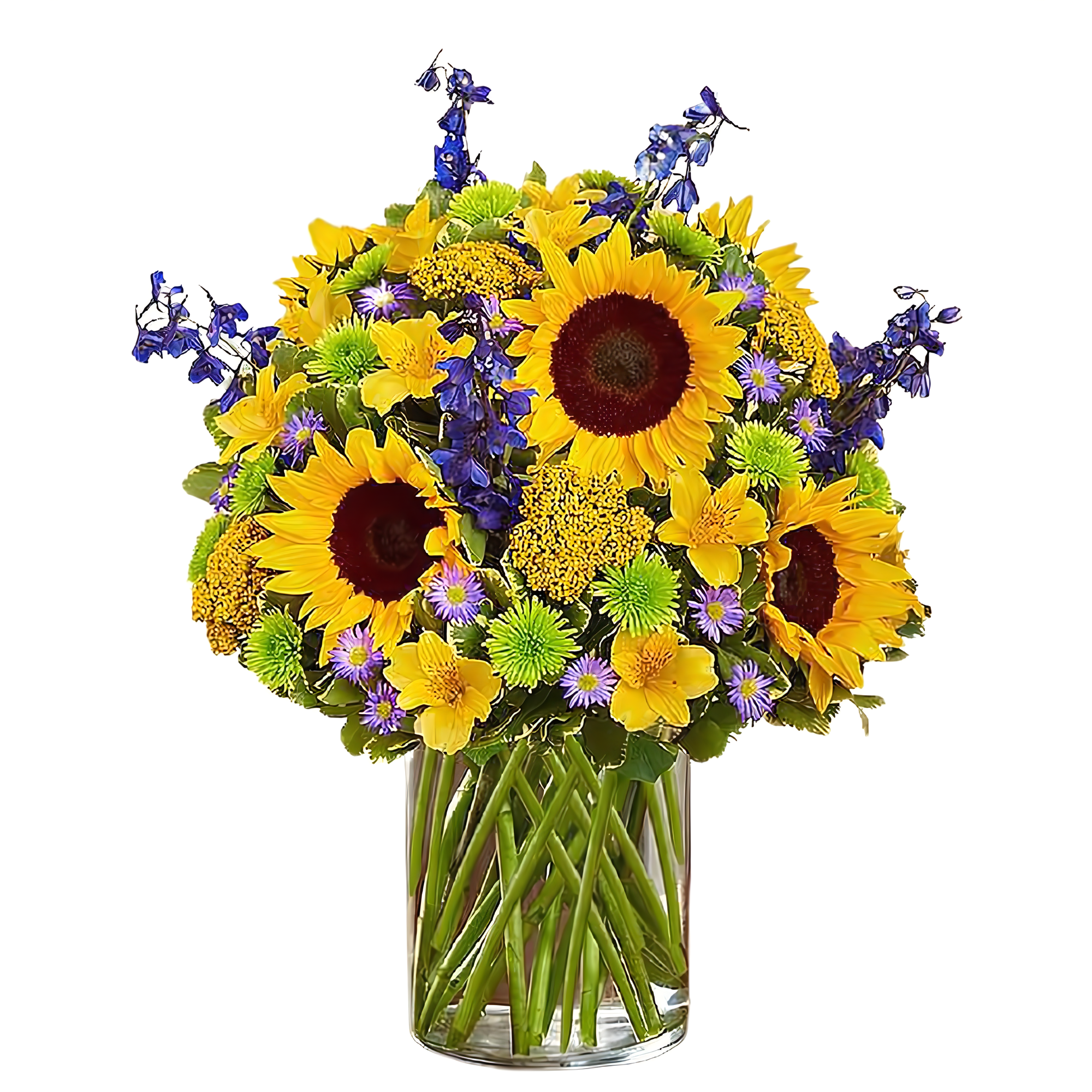 Manhattan Flower Delivery - Fields of Sunshine - Seasonal > Summer