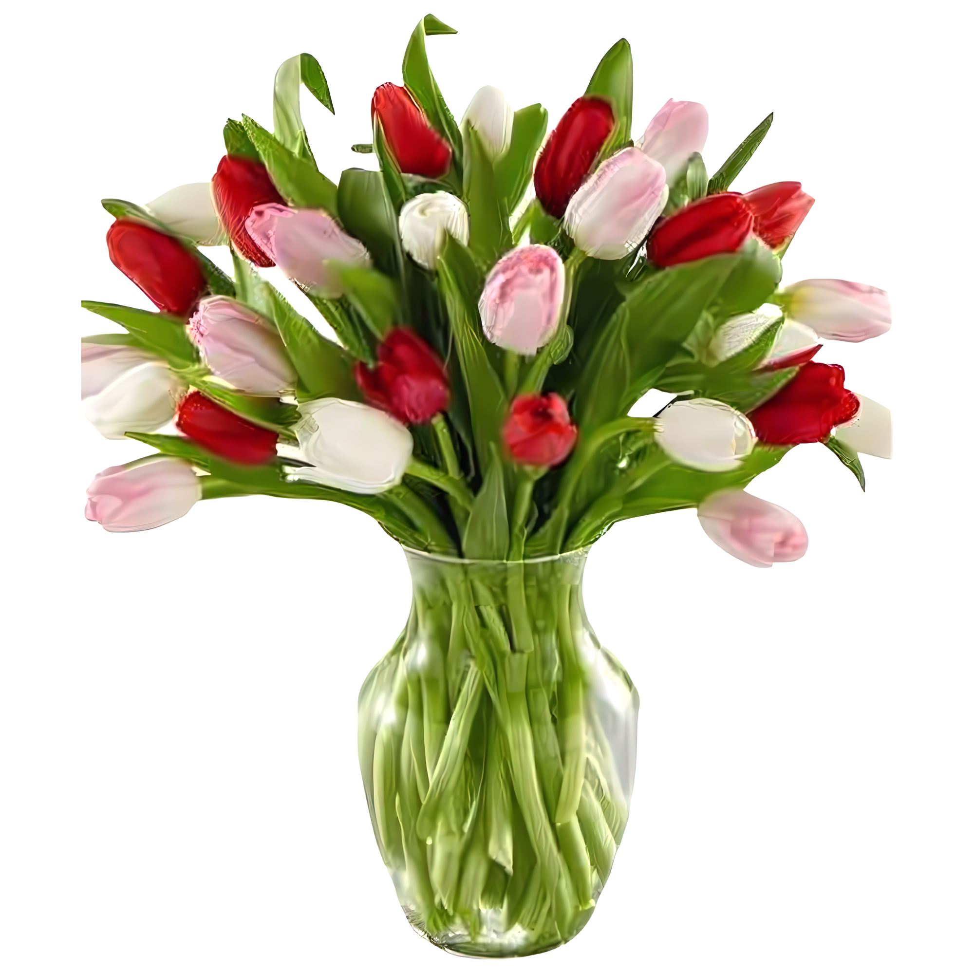 Manhattan Flower Delivery - Tulips Of Love - Valentine's Day
