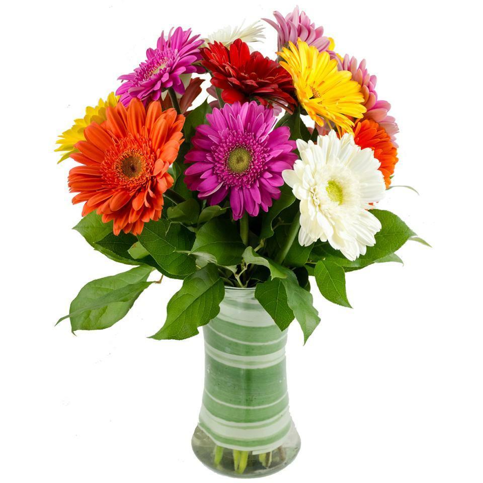Manhattan Flower Delivery - Merry Gerberas - Occasions &gt; Anniversary