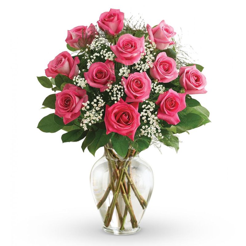 Manhattan Flower Delivery - Premium Long Stem Hot Pink Roses - Fresh Cut Flowers