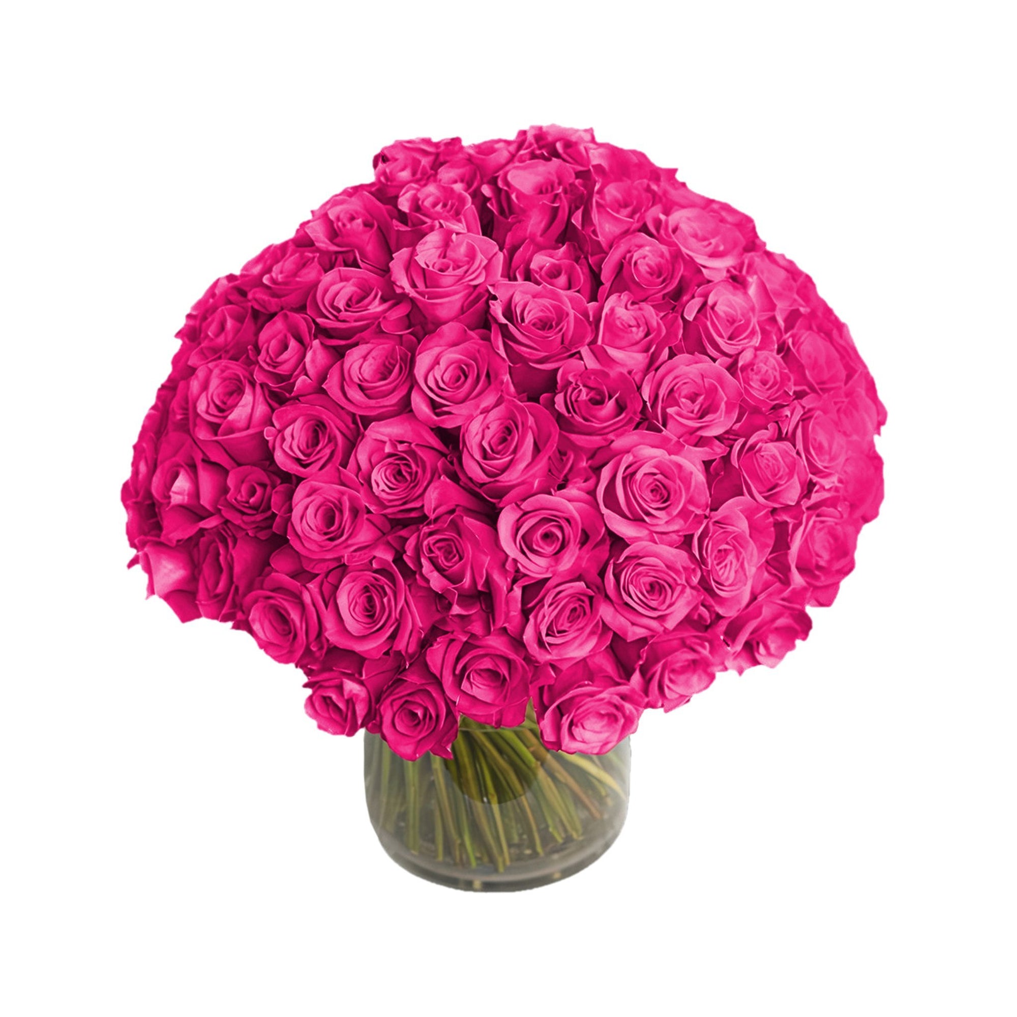 Manhattan Flower Delivery - Fresh Roses in a Vase | 100 Hot Pink Roses - Roses