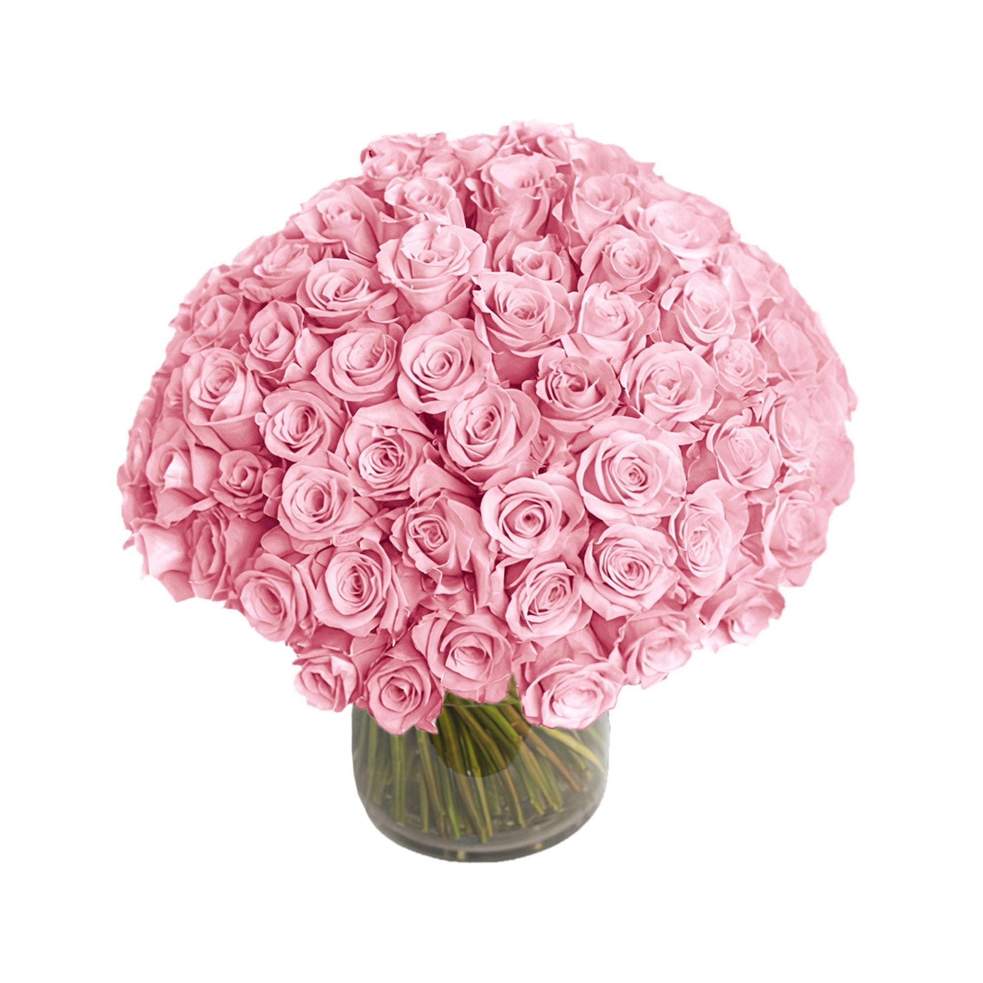 Manhattan Flower Delivery - Fresh Roses in a Vase | 100 Light Pink Roses - Roses