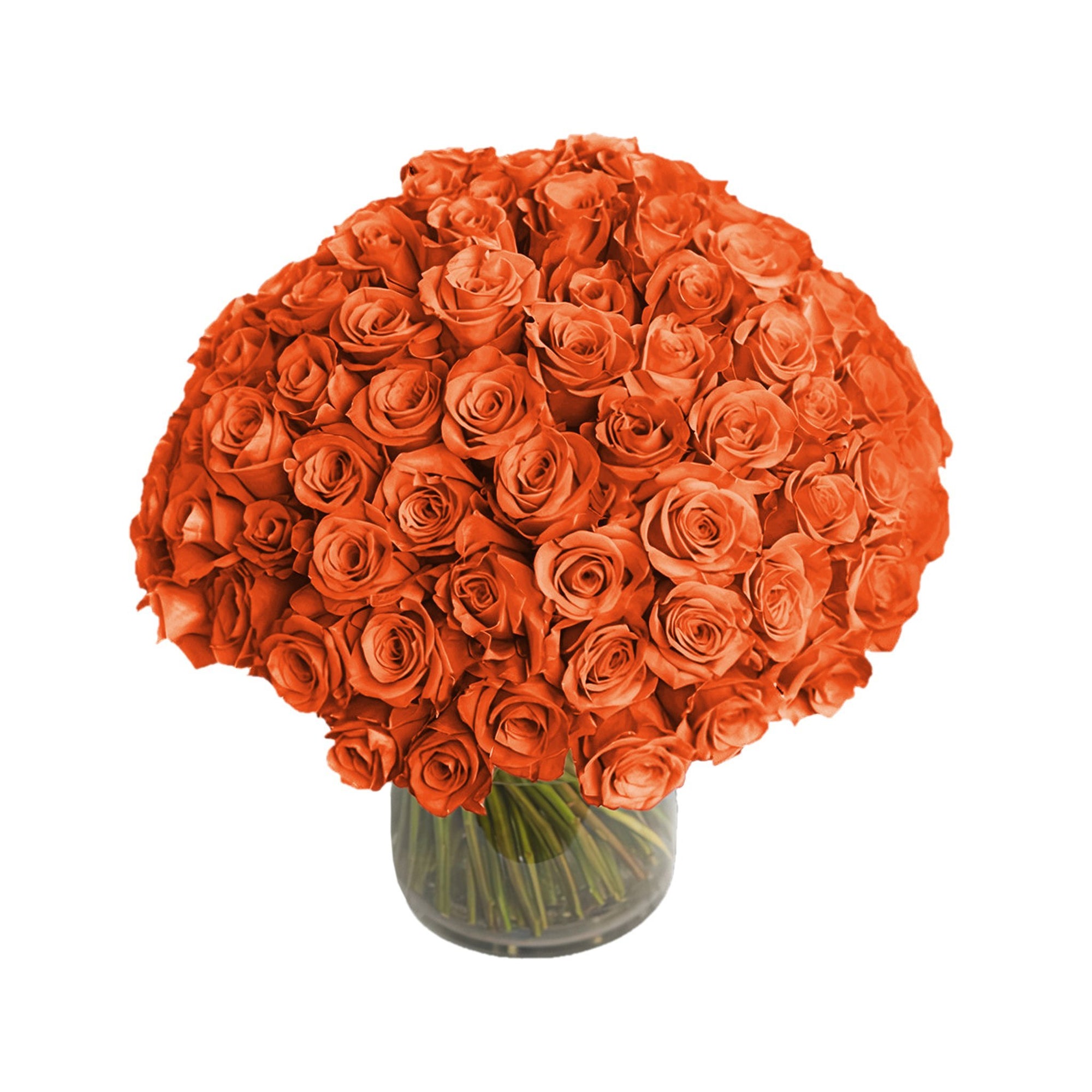 Manhattan Flower Delivery - Fresh Roses in a Vase | 100 Orange Roses - Roses