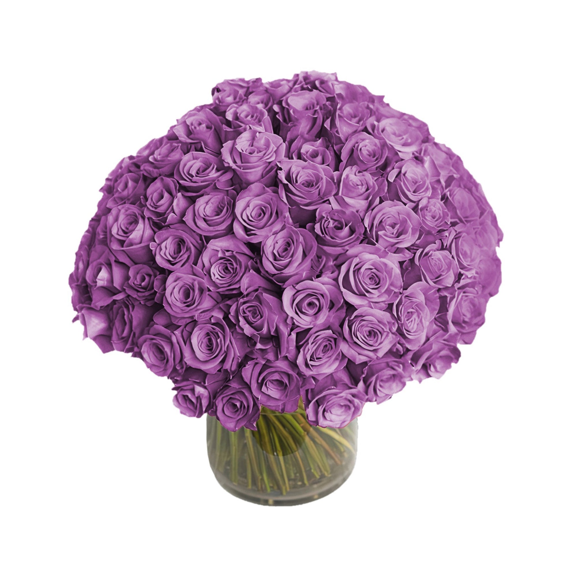 Manhattan Flower Delivery - Fresh Roses in a Vase | 100 Purple Roses - Roses