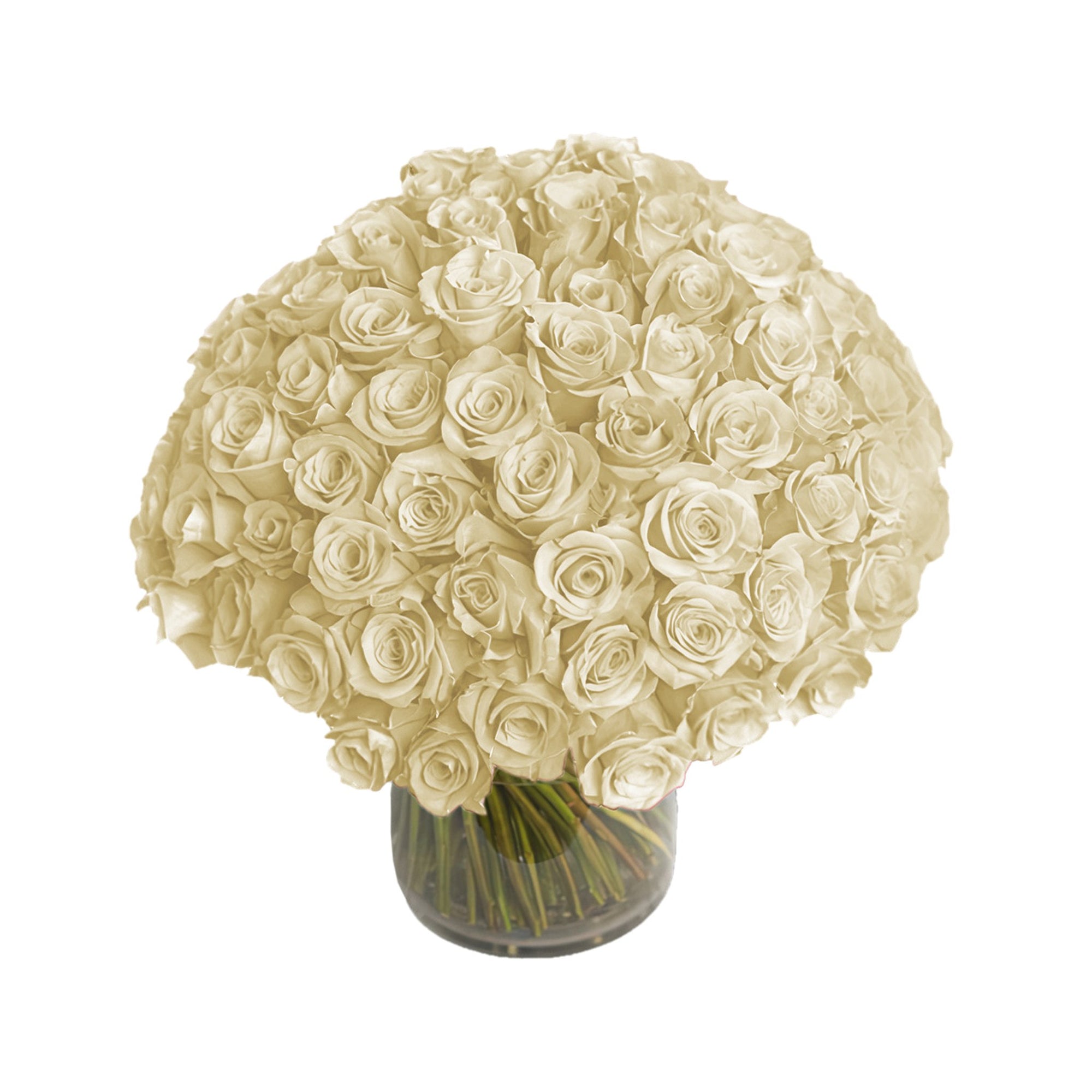 Manhattan Flower Delivery - Fresh Roses in a Vase | 100 White Roses - Roses