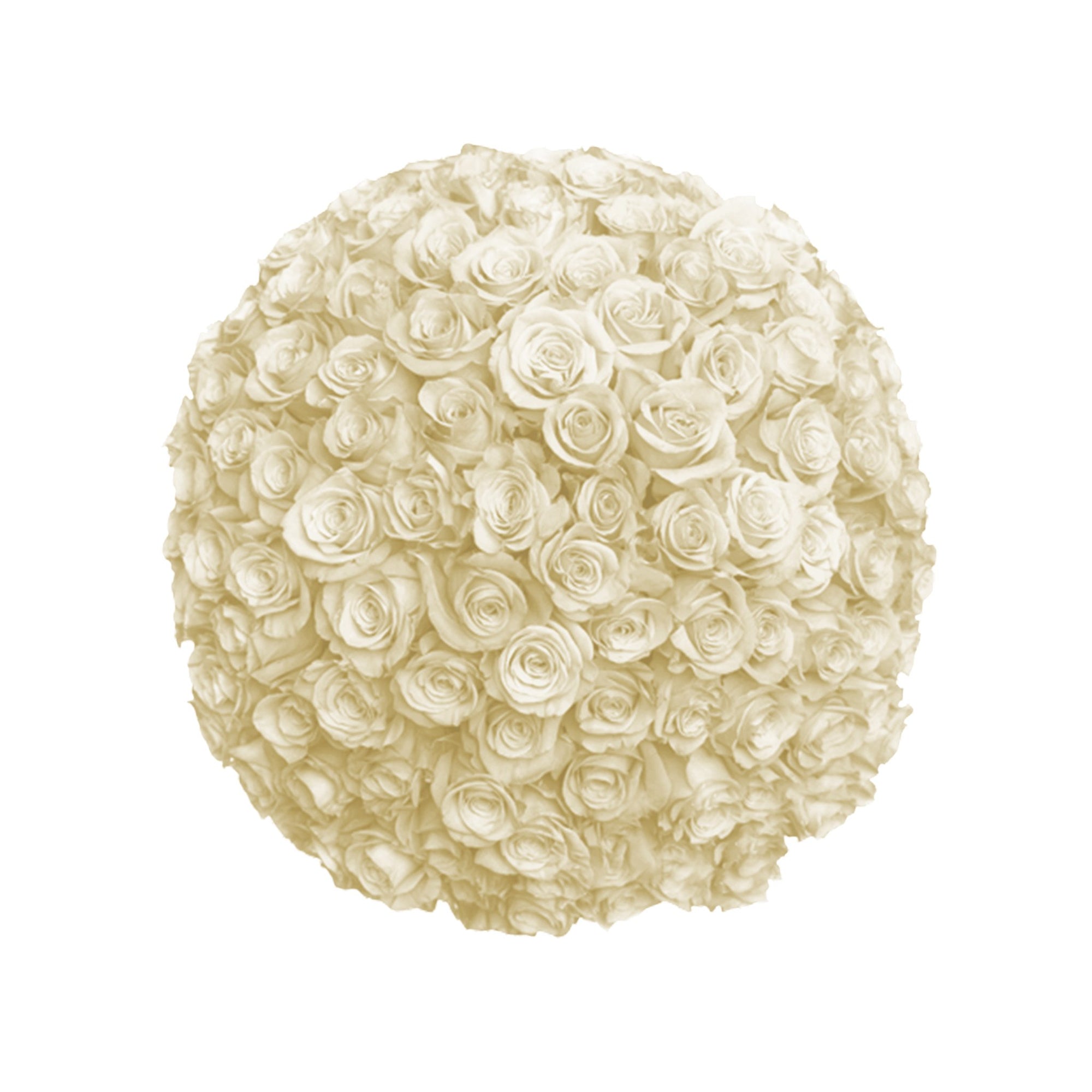 Manhattan Flower Delivery - Fresh Roses in a Vase | 100 White Roses - Roses